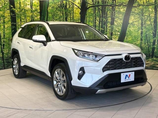 Toyota RAV4 2020-11 182143-16