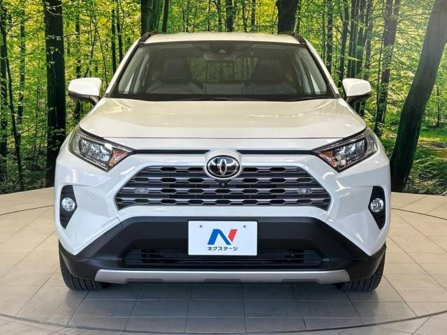 Toyota RAV4 2020-11 182143-14
