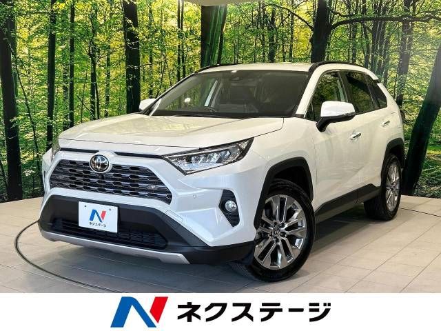 Toyota RAV4 2020-11 182143-0