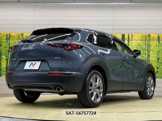 Mazda CX-30 2020-08 246135-17