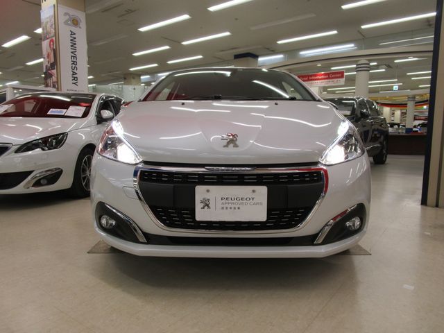 Peugeot 208 2018-05 3156-23