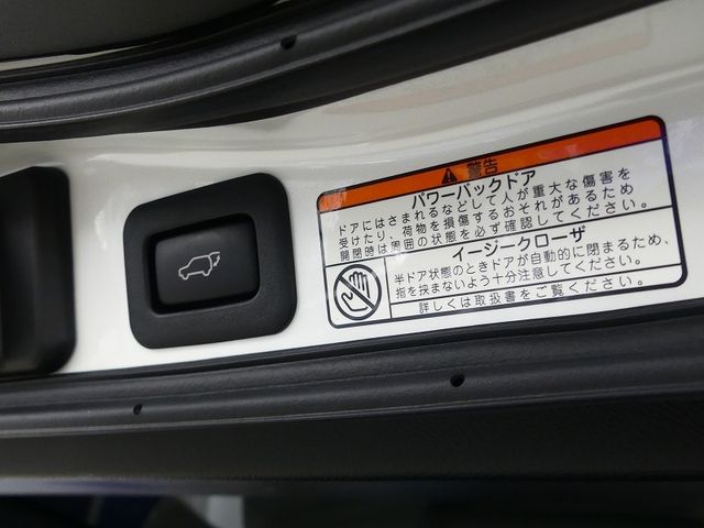 Lexus LX 2021-04 16764-19