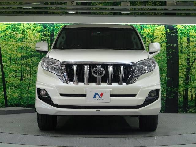 Toyota PRADO 2015-04 184364-14