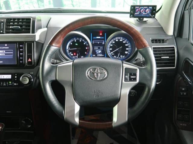 Toyota PRADO 2015-04 184364-13