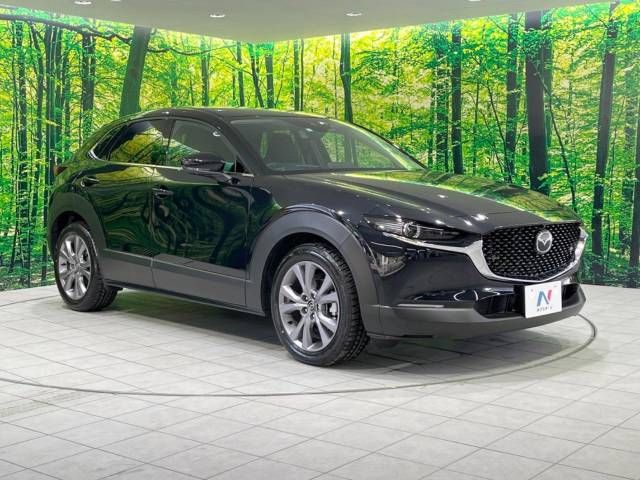 Mazda CX-30 2023-03 183001-17