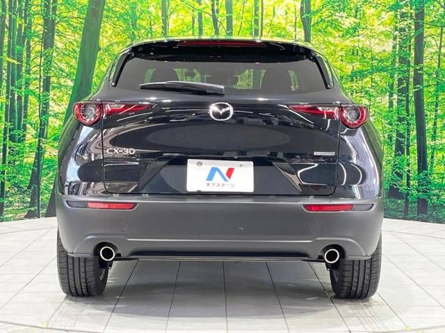 Mazda CX-30 2023-03 183001-16
