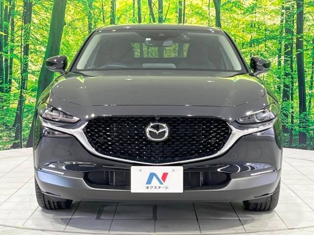 Mazda CX-30 2023-03 183001-15