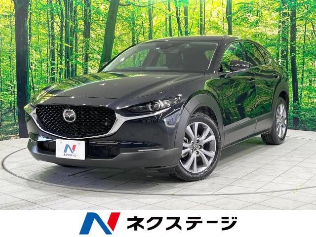 Mazda CX-30 2023-03 183001-0