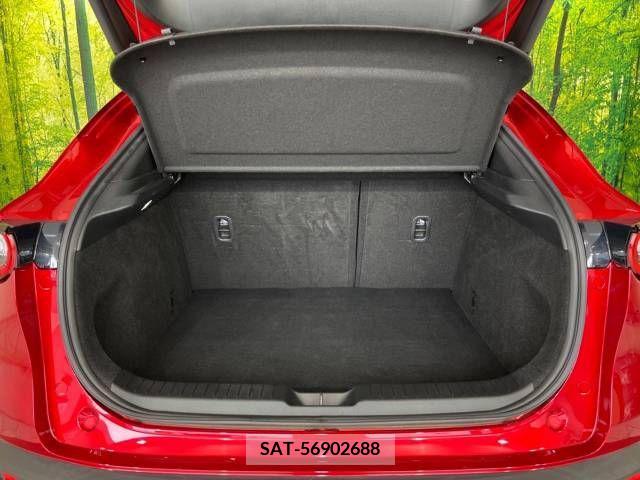 Mazda CX-30 2020-07 295561-10