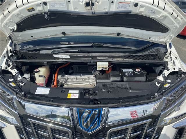 Toyota ALPHARD HYBRID 2019-01 15576-17