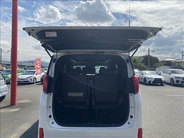 Toyota ALPHARD HYBRID 2019-01 15576-14