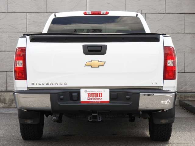 Chevrolet SILVERADO 2010-09 22431-13