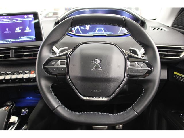 Peugeot 3008 2020-12 7666-15