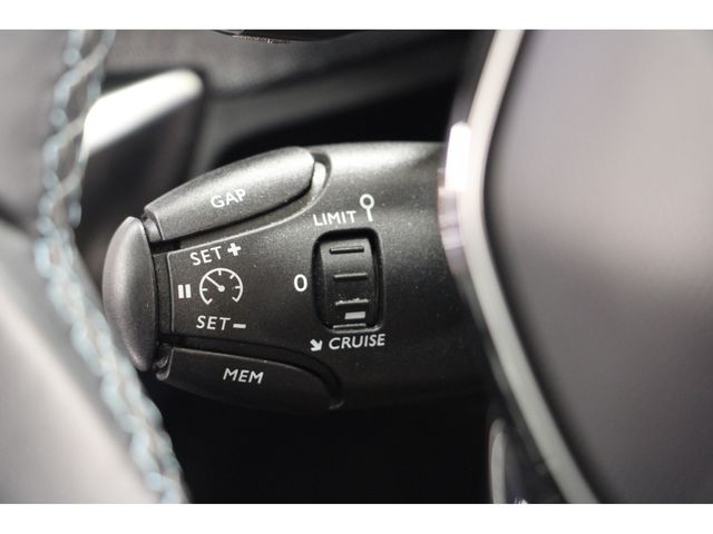 Peugeot 3008 2020-12 7666-14
