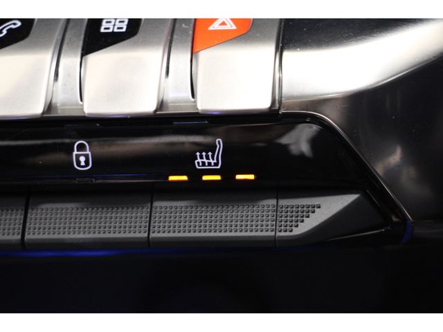 Peugeot 3008 2020-12 7666-10