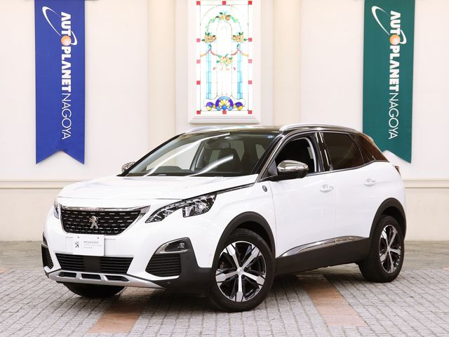 Peugeot 3008 2020-12 7666-0