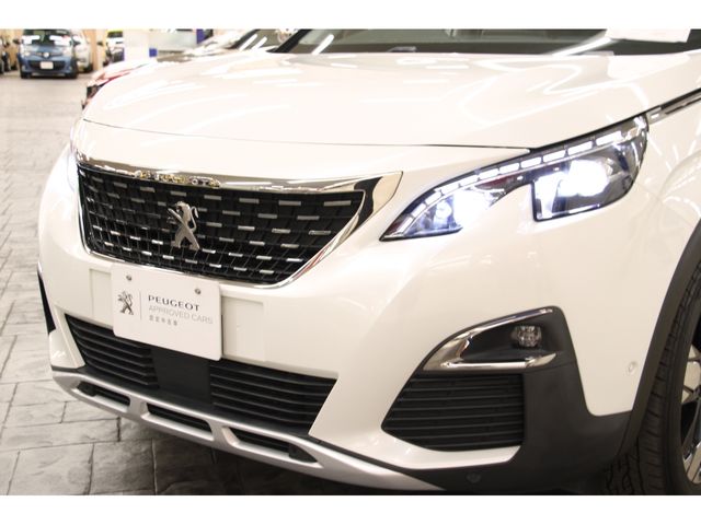 Peugeot 3008 2020-12 7666-25