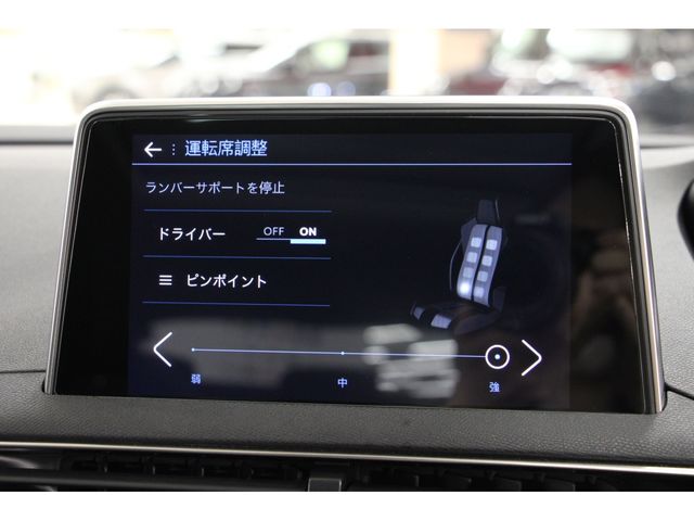 Peugeot 3008 2020-12 7666-6