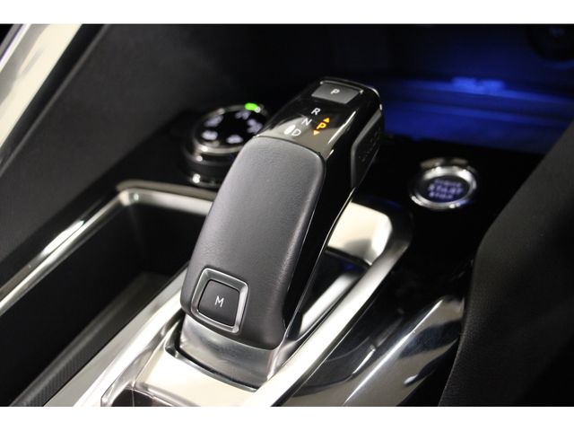 Peugeot 3008 2020-12 7666-4