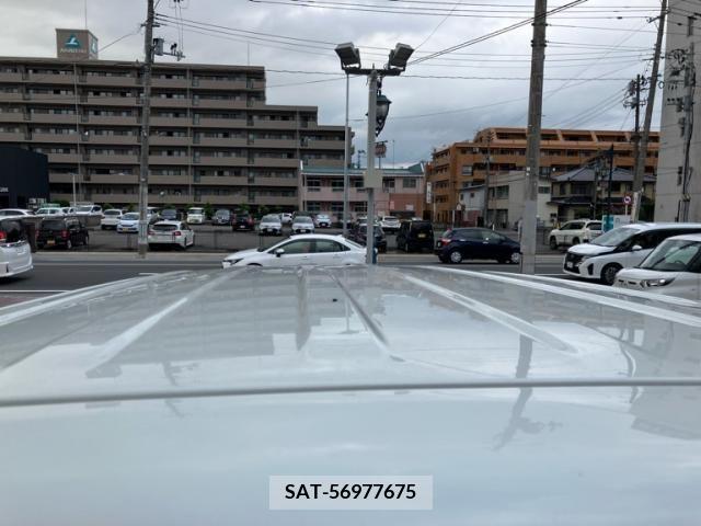 Suzuki PALETTE 2009-10 393192-13