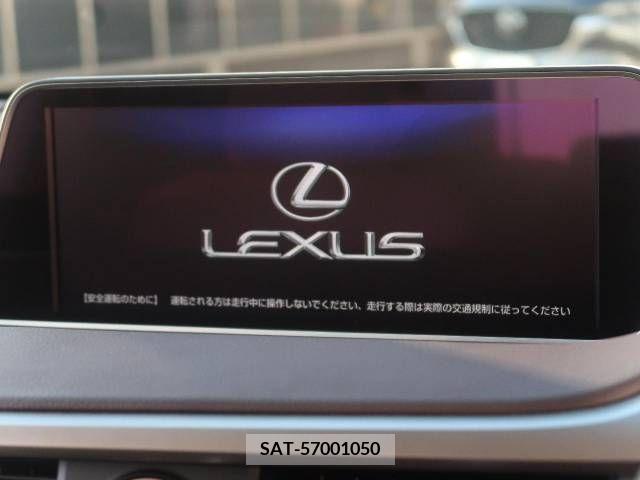 Lexus RX 2018-06 218197-2