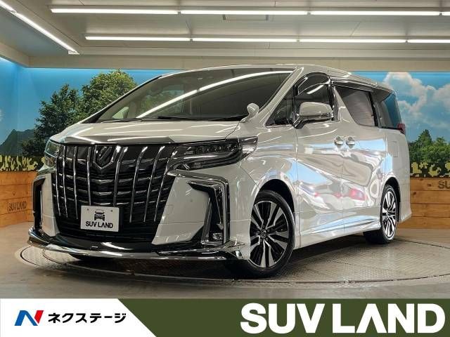 Toyota ALPHARD 2022-11 195859-0