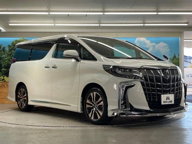 Toyota ALPHARD 2022-11 195859-16