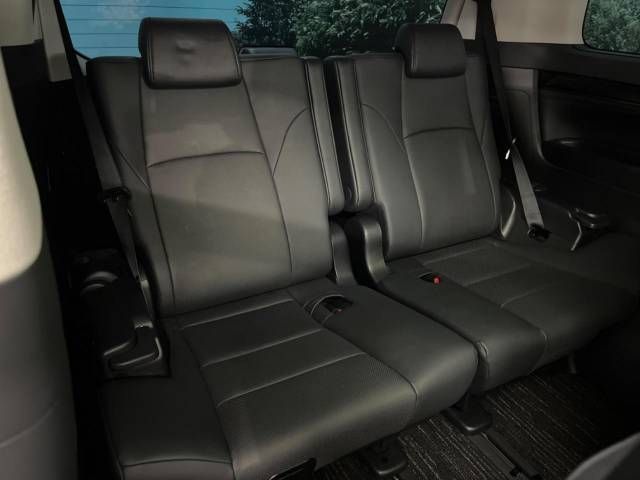 Toyota ALPHARD 2022-11 195859-9