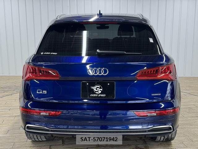 Audi Q5 2019-08 317965-12