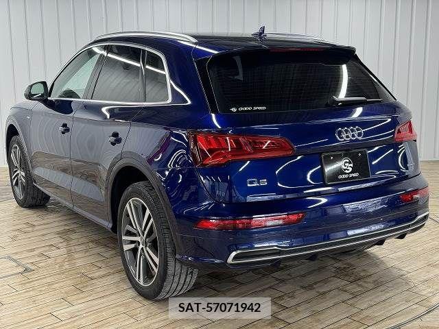 Audi Q5 2019-08 317965-16