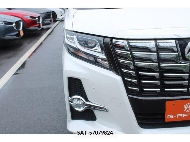 Toyota ALPHARD 2016-03 280403-10