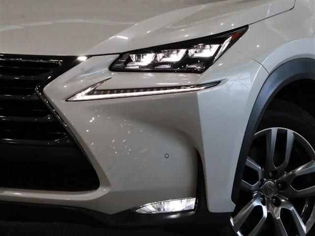 Lexus NX 2015-06 17612-10