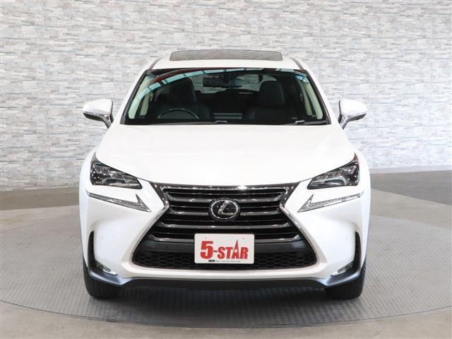 Lexus NX 2015-06 17612-7