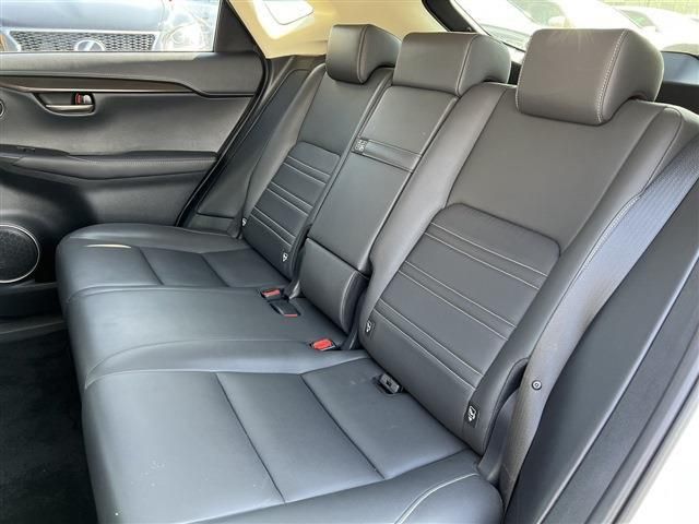 Lexus NX 2015-06 17612-19