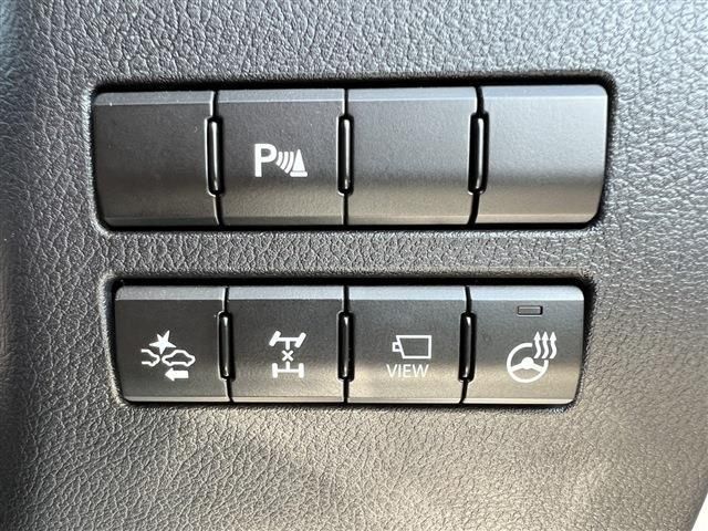 Lexus NX 2015-06 17612-14