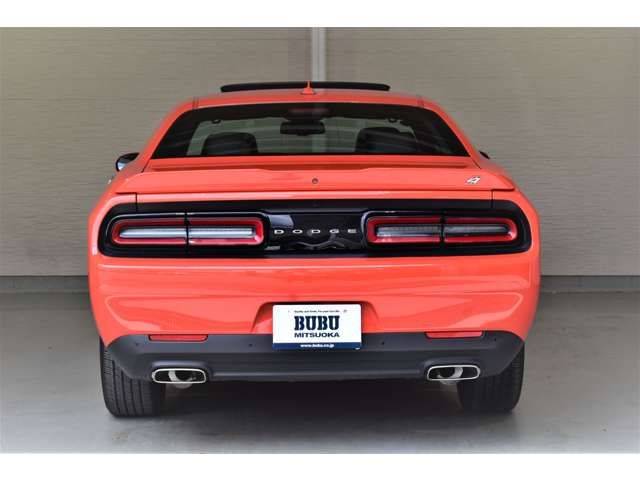 Dodge CHALLENGER 2019-06 17829-6
