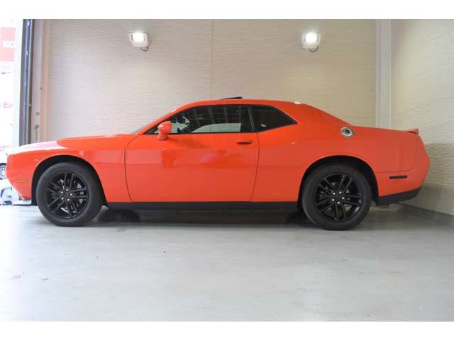 Dodge CHALLENGER 2019-06 17829-5