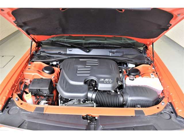 Dodge CHALLENGER 2019-06 17829-8