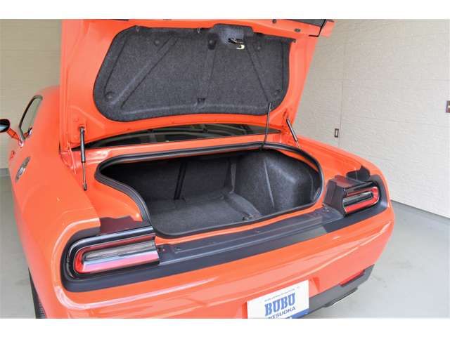 Dodge CHALLENGER 2019-06 17829-4