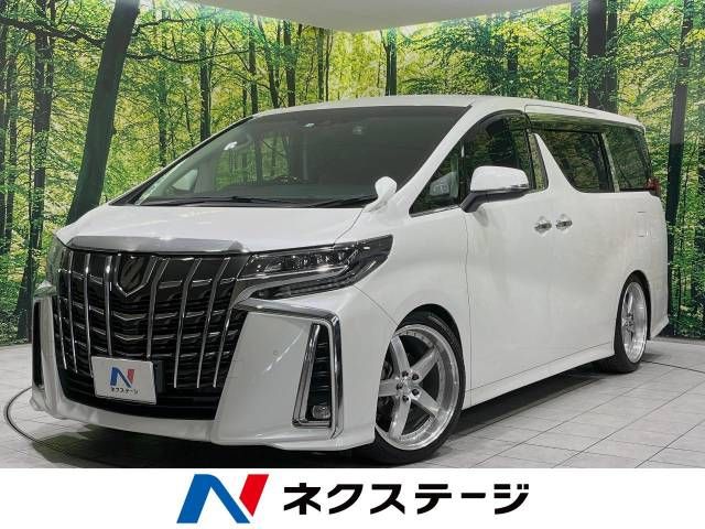 Toyota ALPHARD 2020-06 29300-0