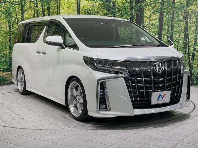 Toyota ALPHARD 2020-06 29300-16