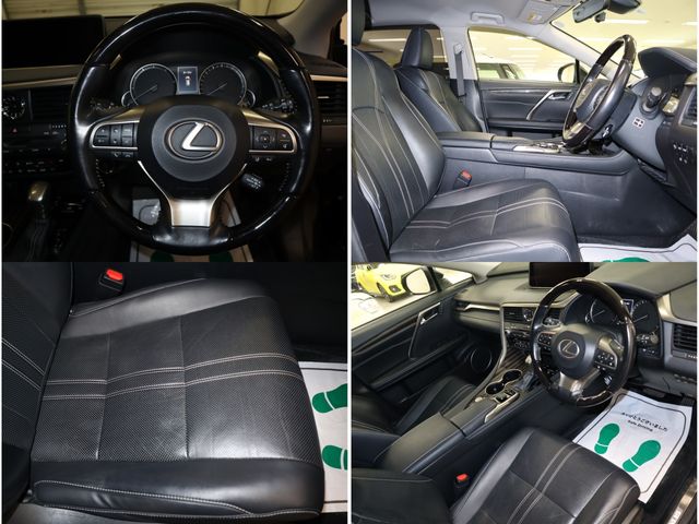 Lexus RX 2017-01 185695-23