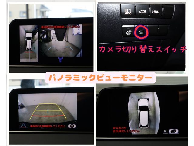 Lexus RX 2017-01 185695-18