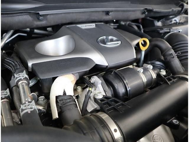 Lexus RX 2017-01 185695-12