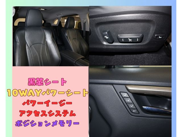 Lexus RX 2017-01 185695-22