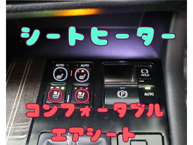 Lexus RX 2017-01 185695-21