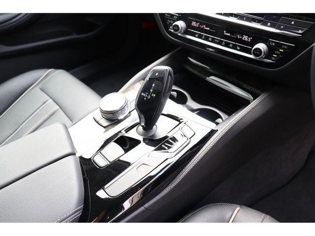 Bmw 5 SERIES 2018-05 8411-13