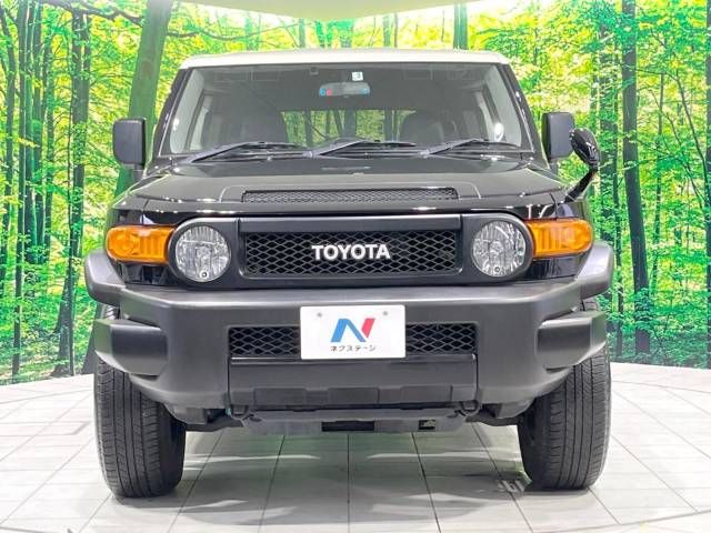 Toyota FJ CRUISER 2013-03 20421-14