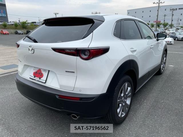 Mazda CX-30 2020-03 325455-2