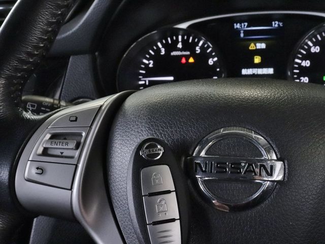 Nissan X-TRAIL 2015-03 182873-19